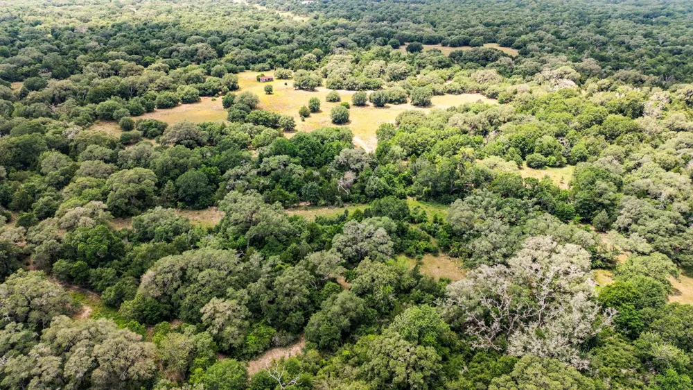 Cr 215 Weimar, TX 78962