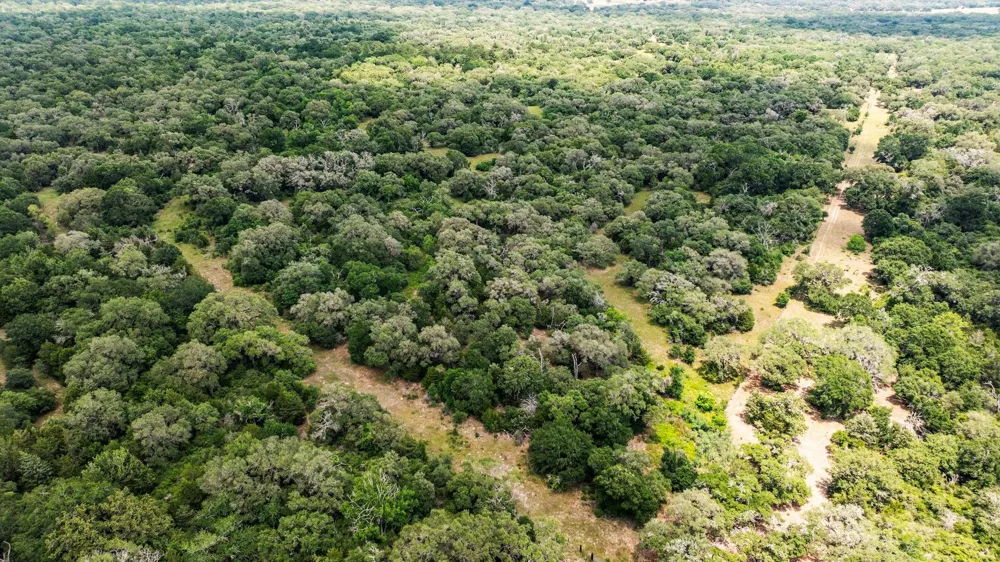 Cr 215 Weimar, TX 78962