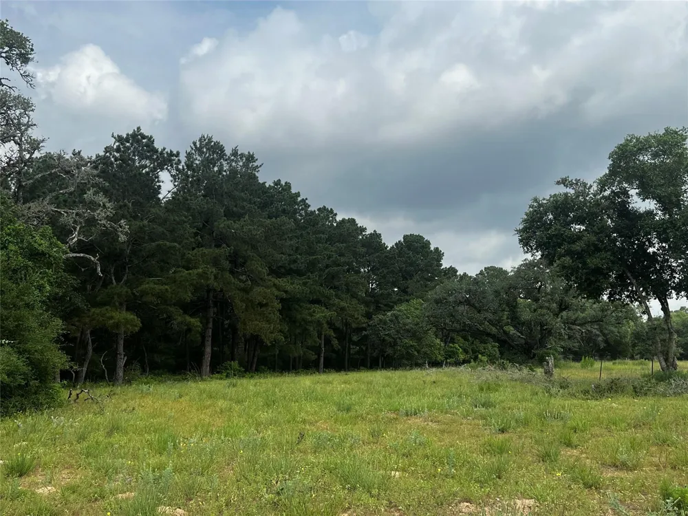 Cr 215 Weimar, TX 78962