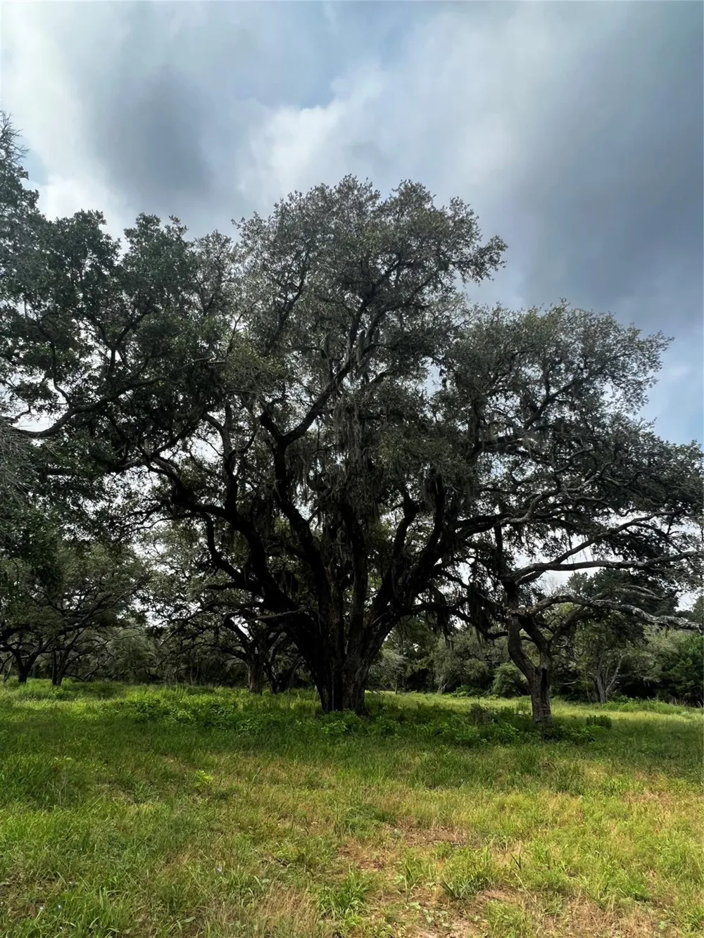 Cr 215 Weimar, TX 78962