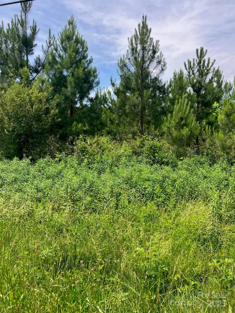 0 Renee Ford Road Stanfield, NC 28163