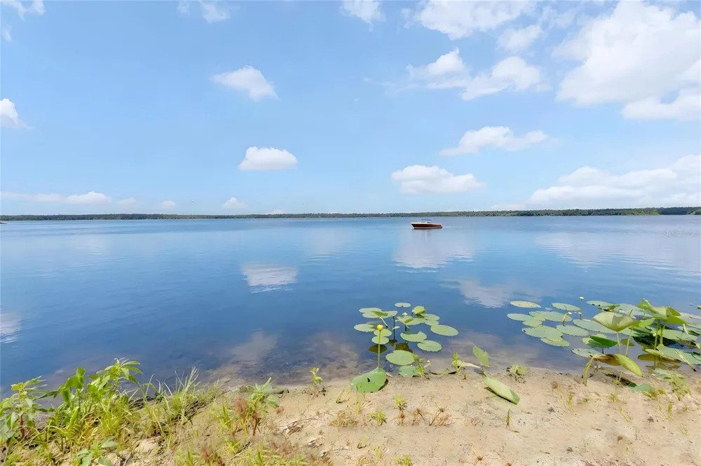 3943 NW 219TH STREET ROAD Micanopy, FL 32667
