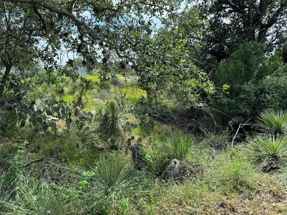 17064 Sweetbriar Drive Granite Shoals, TX 78654
