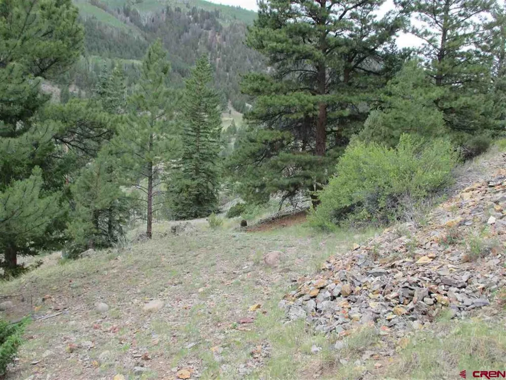 1400 Slumgullion Road Lake City, CO 81235