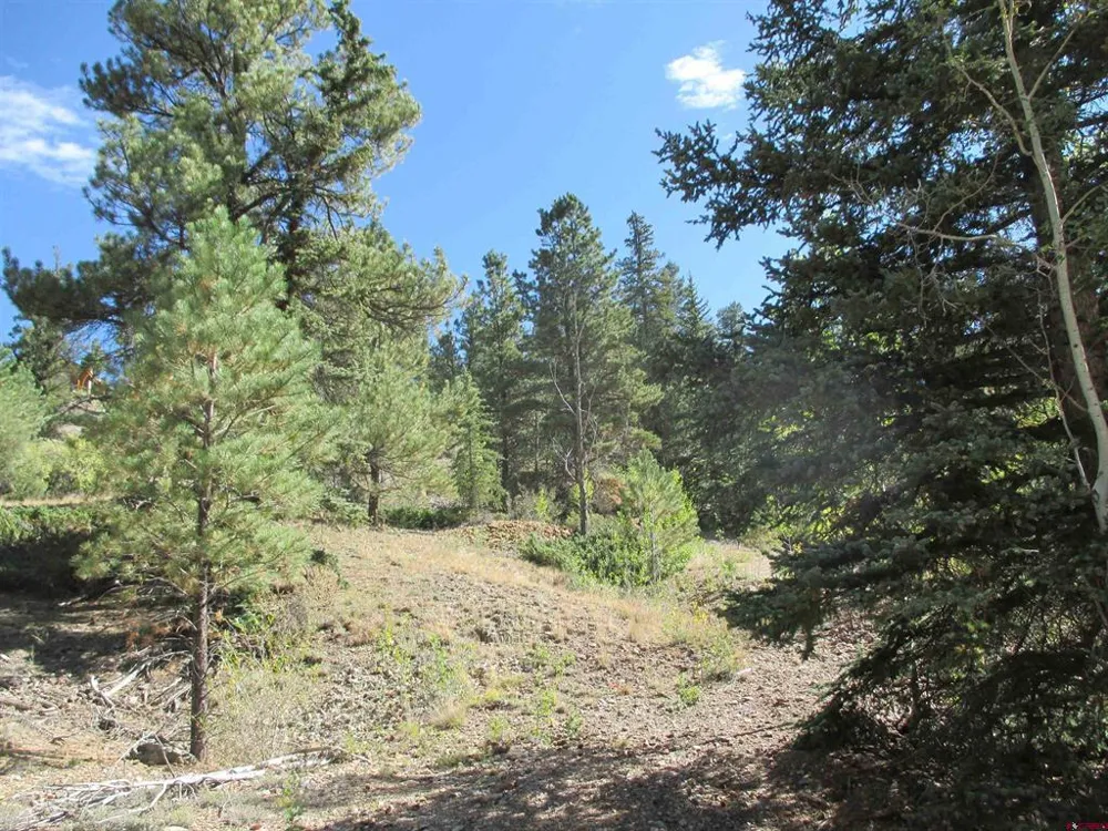 1400 Slumgullion Road Lake City, CO 81235