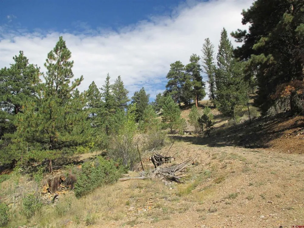 1400 Slumgullion Road Lake City, CO 81235