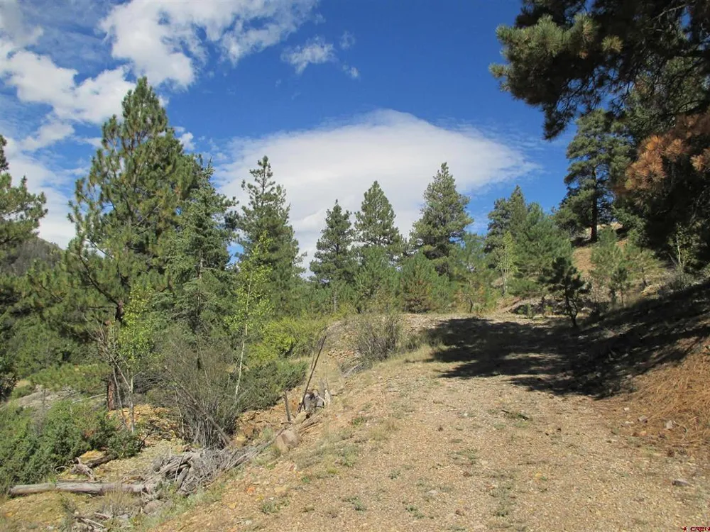 1400 Slumgullion Road Lake City, CO 81235