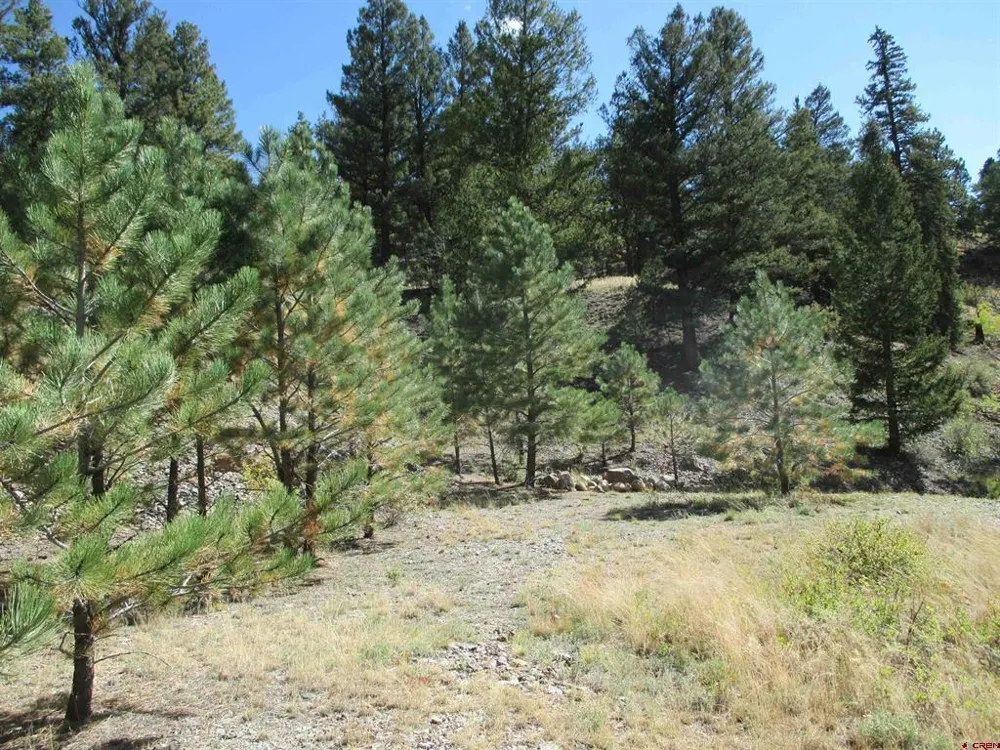 1400 Slumgullion Road Lake City, CO 81235