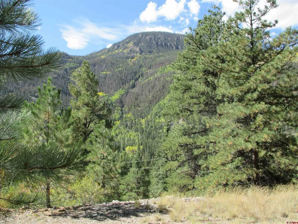 1400 Slumgullion Road Lake City, CO 81235