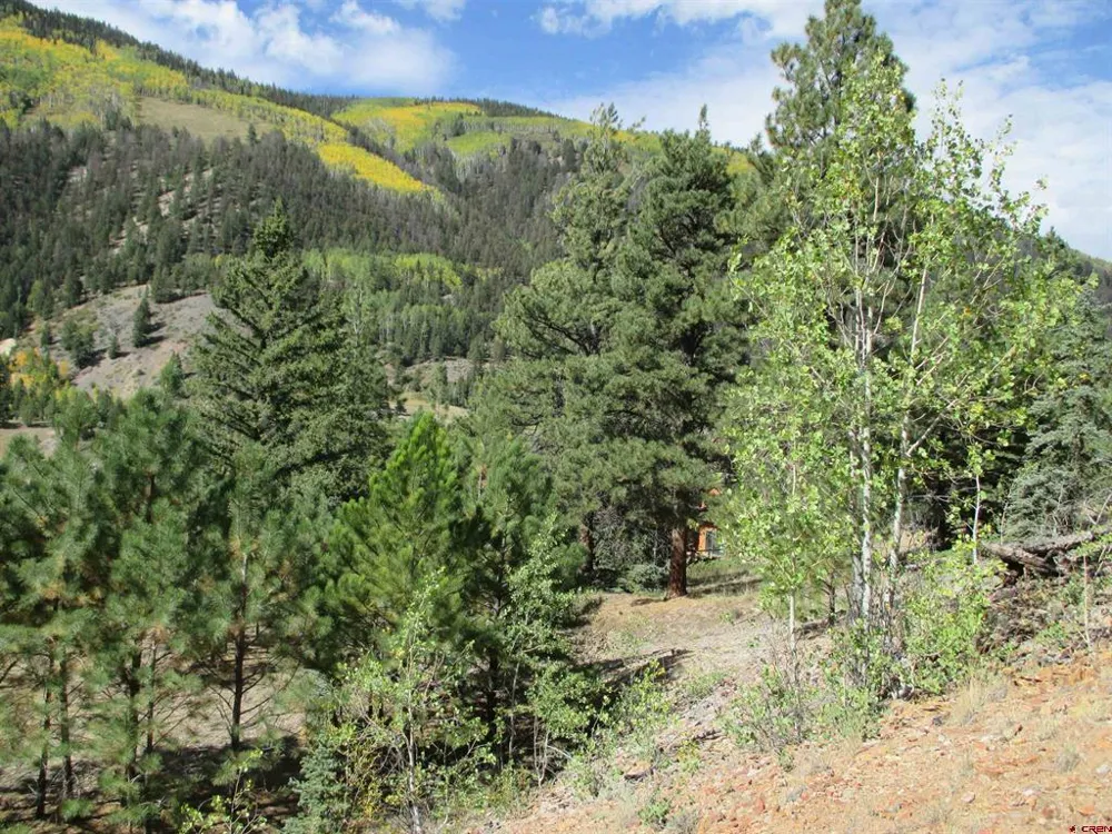 1400 Slumgullion Road Lake City, CO 81235