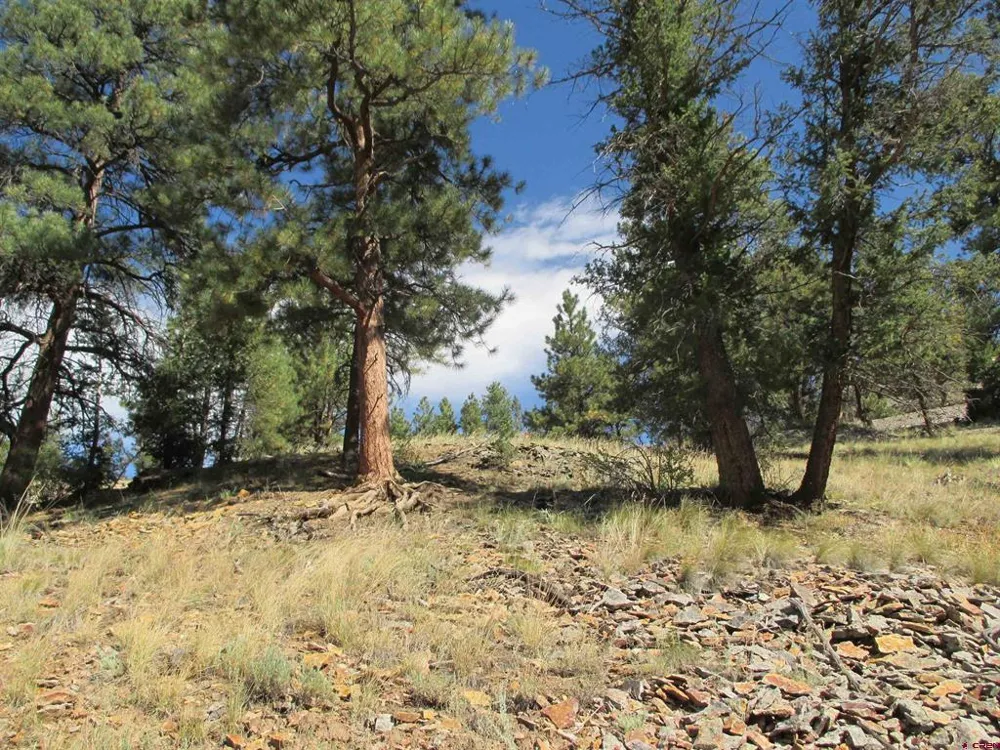1400 Slumgullion Road Lake City, CO 81235