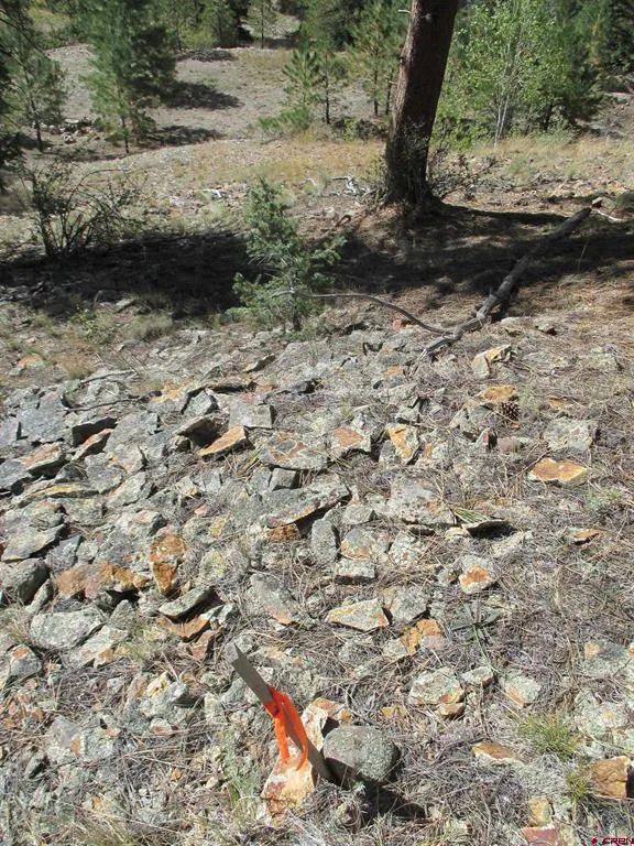 1400 Slumgullion Road Lake City, CO 81235