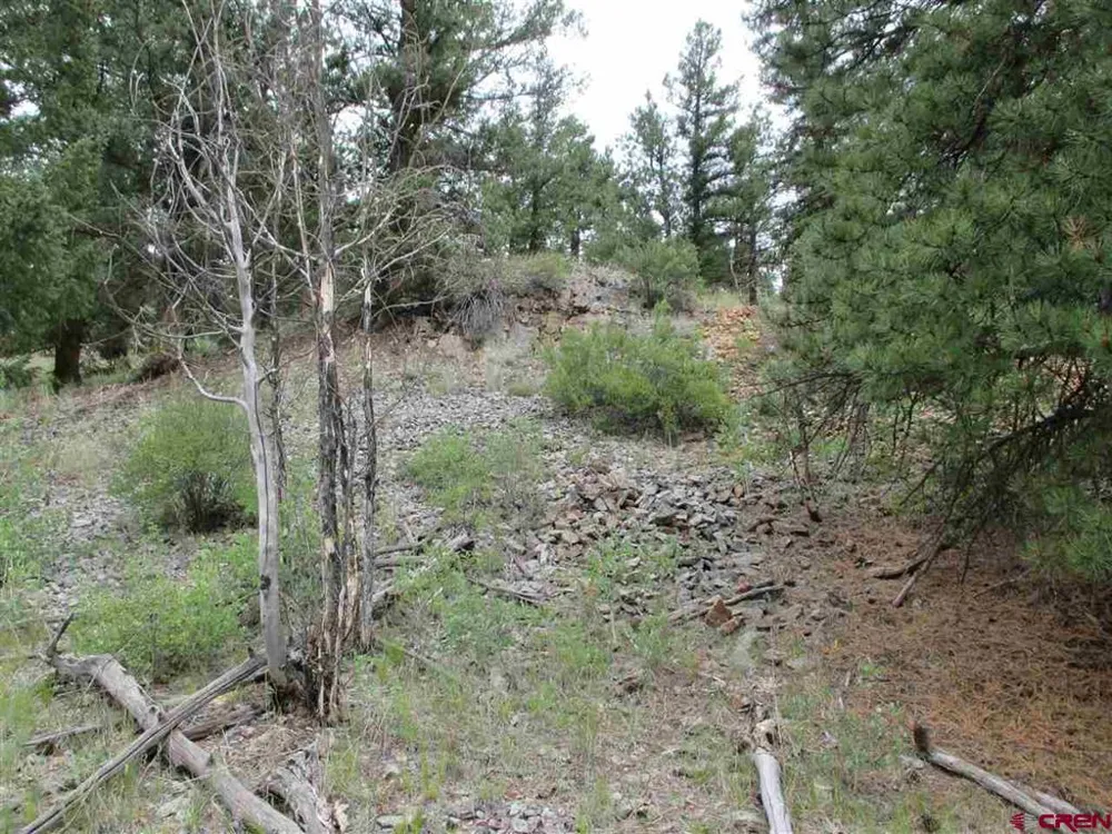 1400 Slumgullion Road Lake City, CO 81235