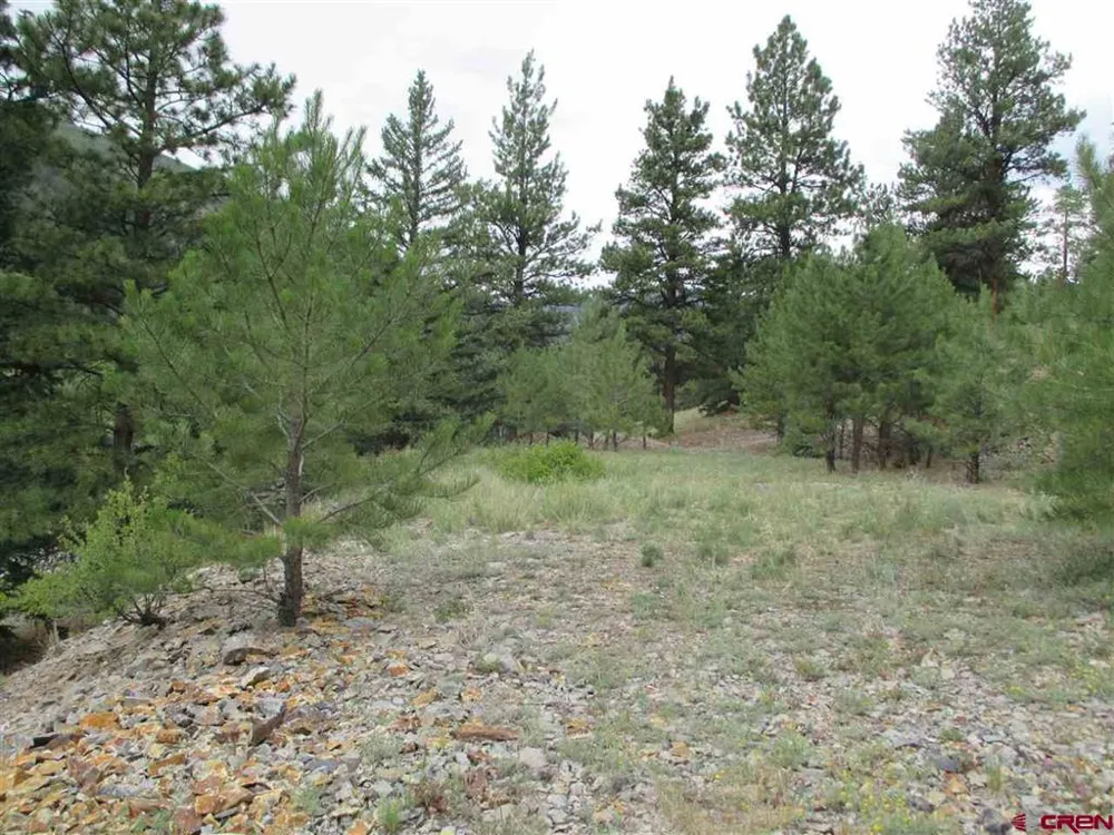 1400 Slumgullion Road Lake City, CO 81235