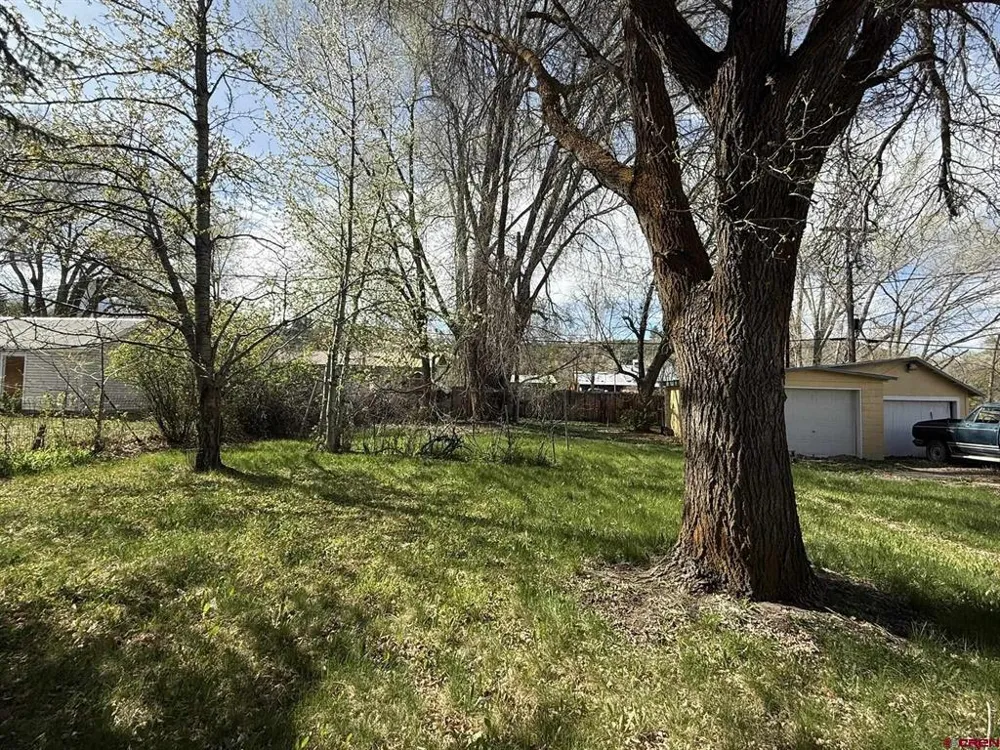 613 3rd Street Paonia, CO 81428