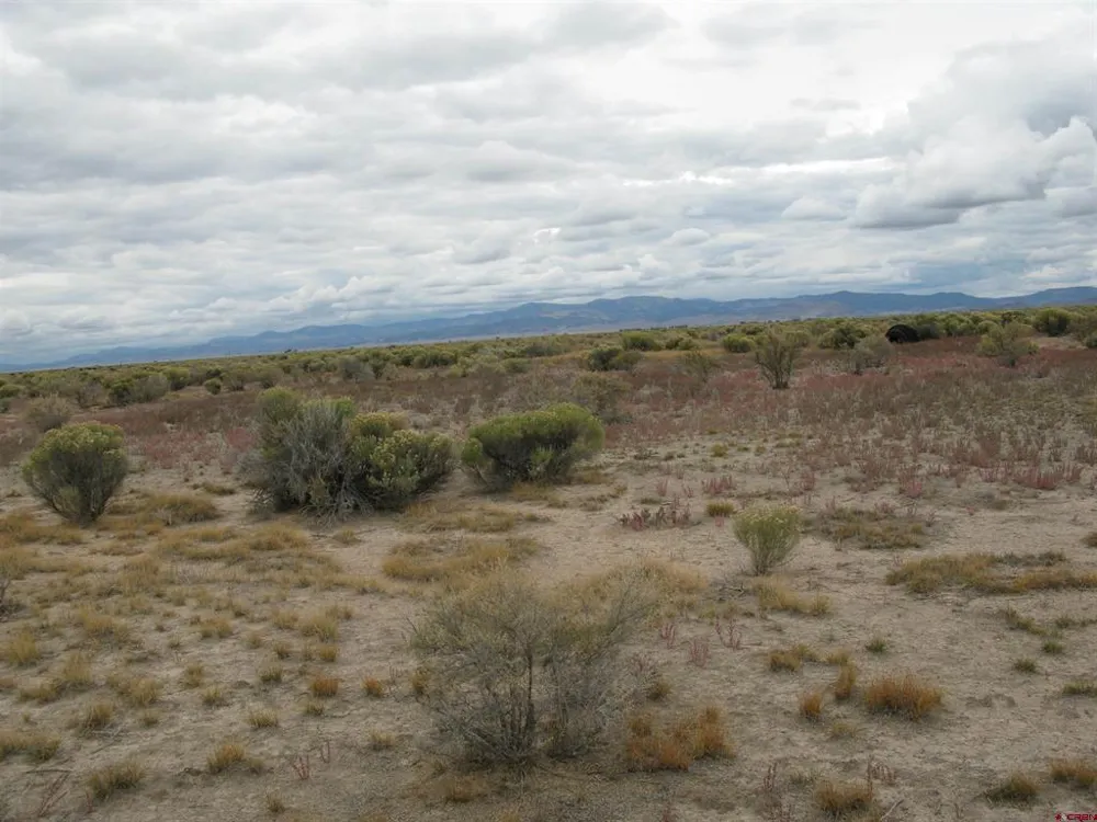 20651 Kit Carson Road Moffat, CO 81143