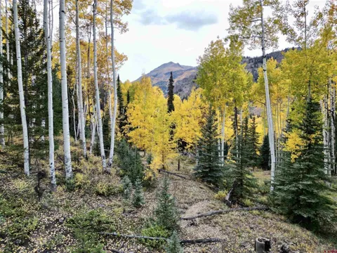 6 Alpine Vista Court
