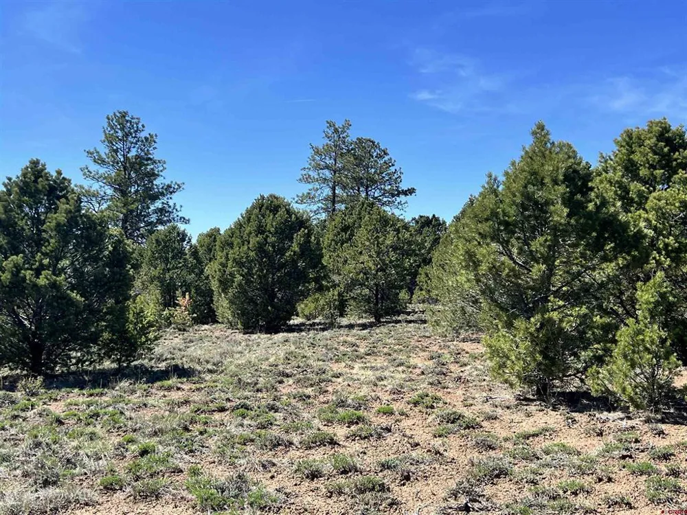 Canyon Drive Ridgway, CO 81432