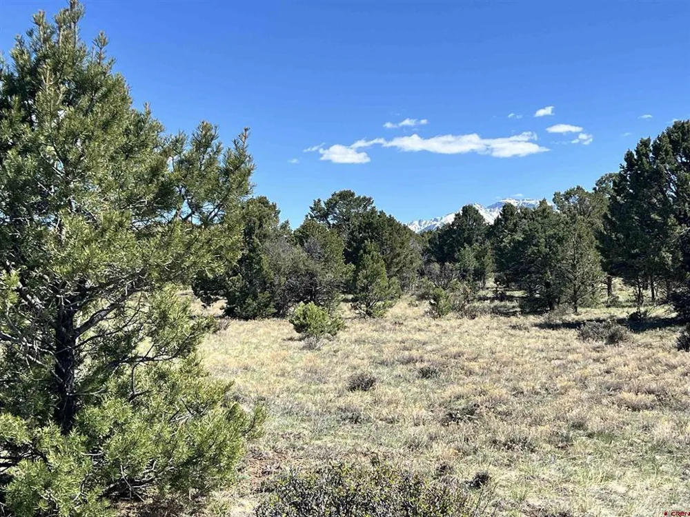 Canyon Drive Ridgway, CO 81432
