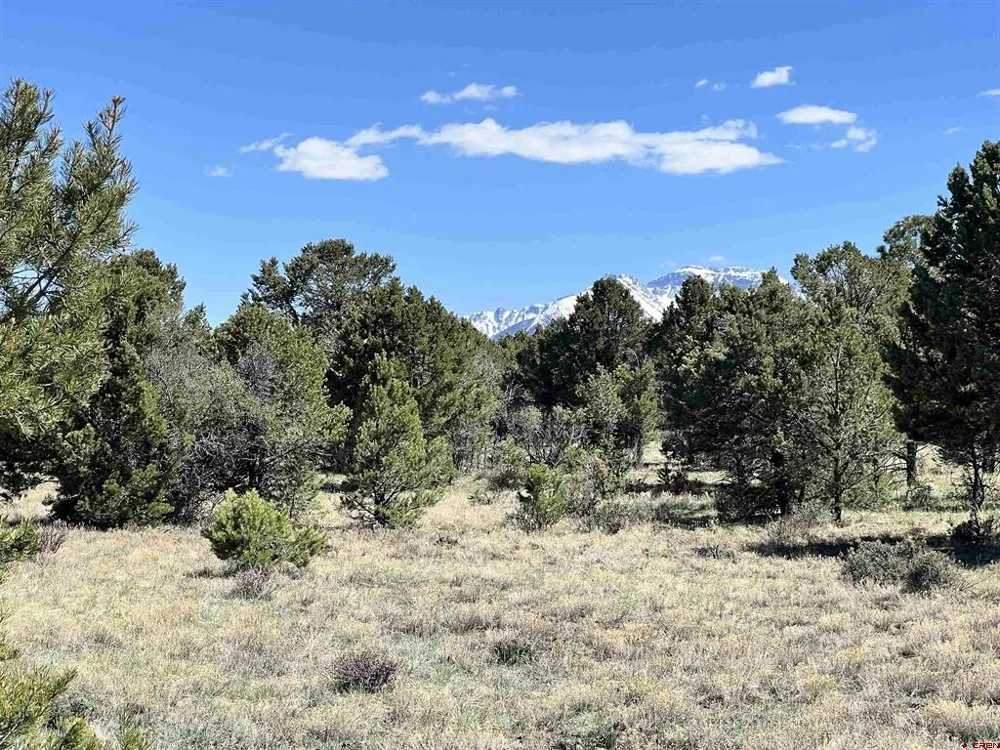 Canyon Drive Ridgway, CO 81432
