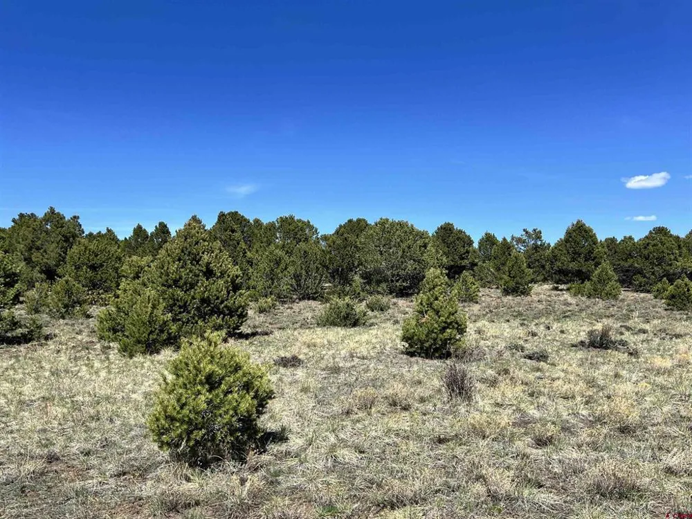 Canyon Drive Ridgway, CO 81432