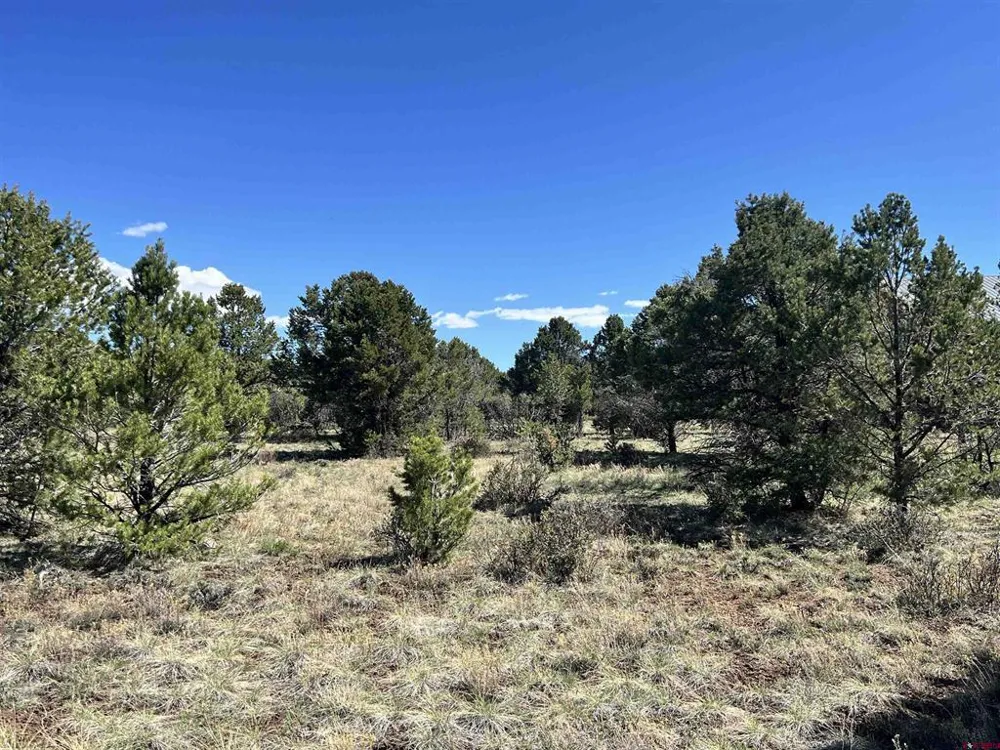 Canyon Drive Ridgway, CO 81432