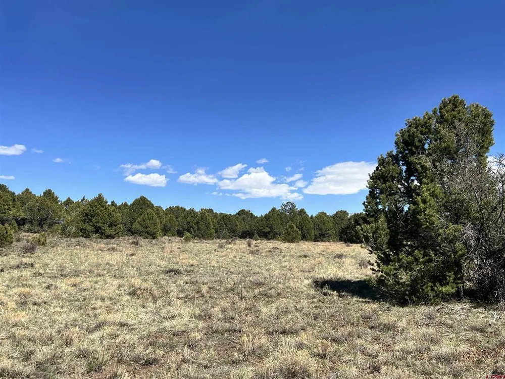 Canyon Drive Ridgway, CO 81432