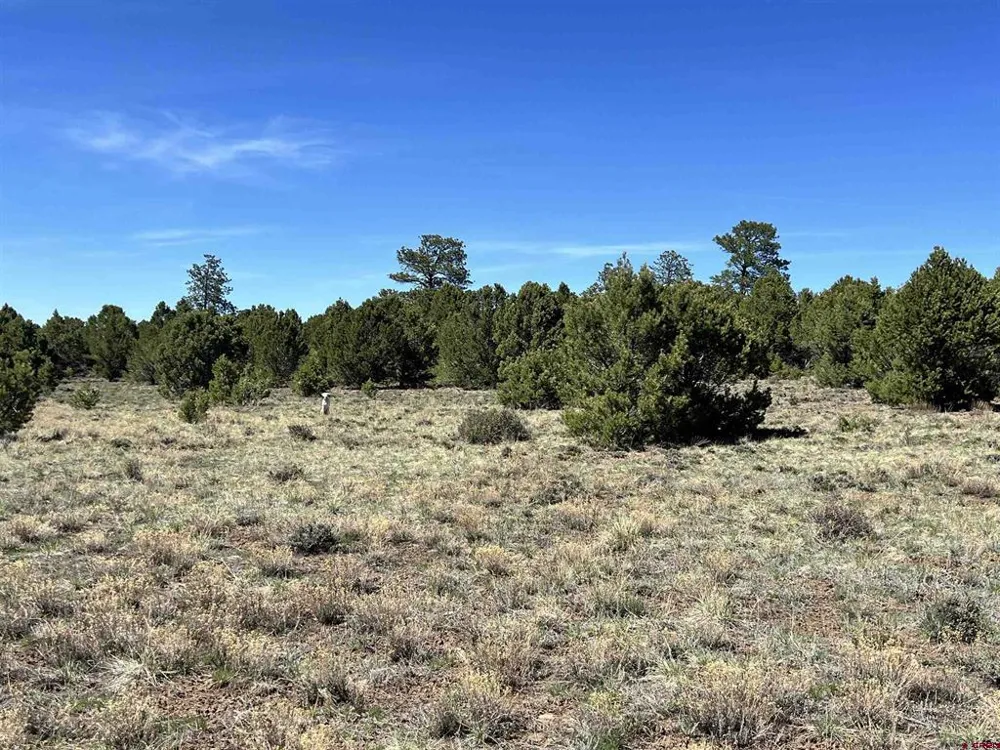 Canyon Drive Ridgway, CO 81432
