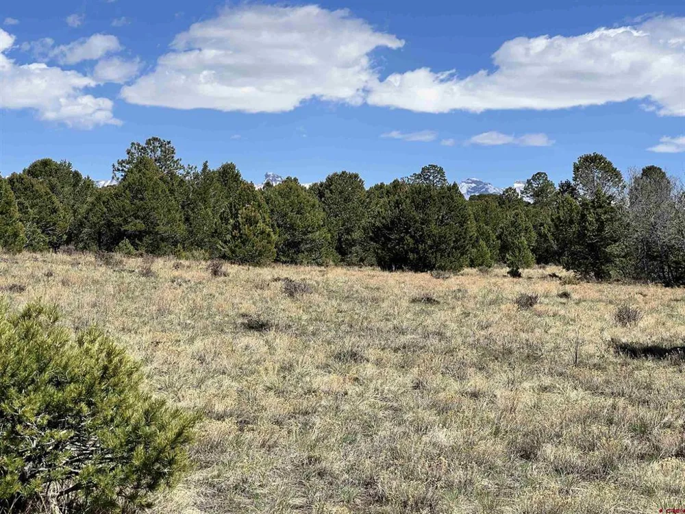 Canyon Drive Ridgway, CO 81432