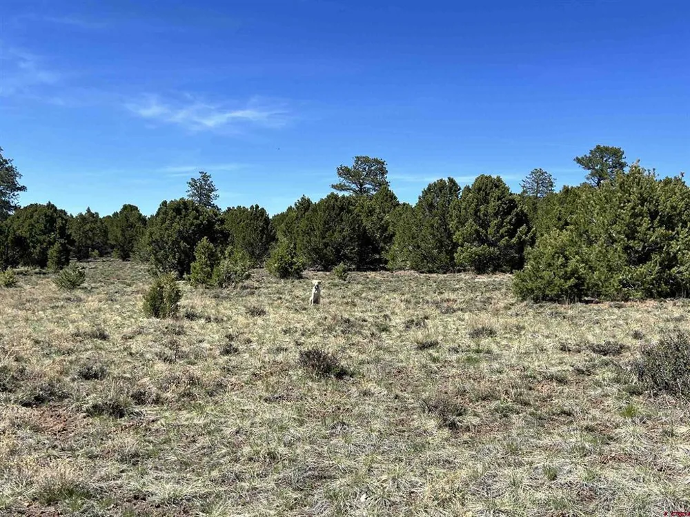 Canyon Drive Ridgway, CO 81432