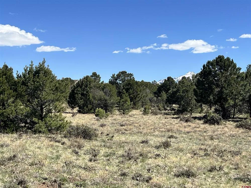 Canyon Drive Ridgway, CO 81432
