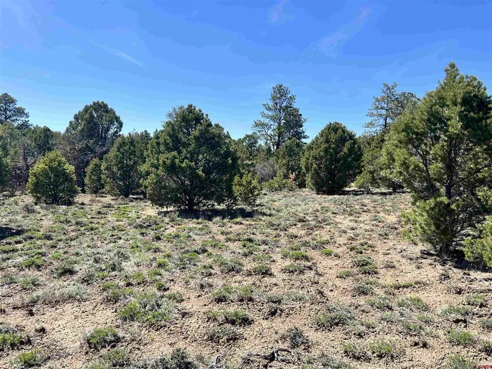 Canyon Drive Ridgway, CO 81432