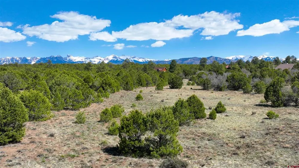Canyon Drive Ridgway, CO 81432
