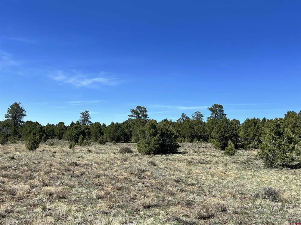 Canyon Drive Ridgway, CO 81432