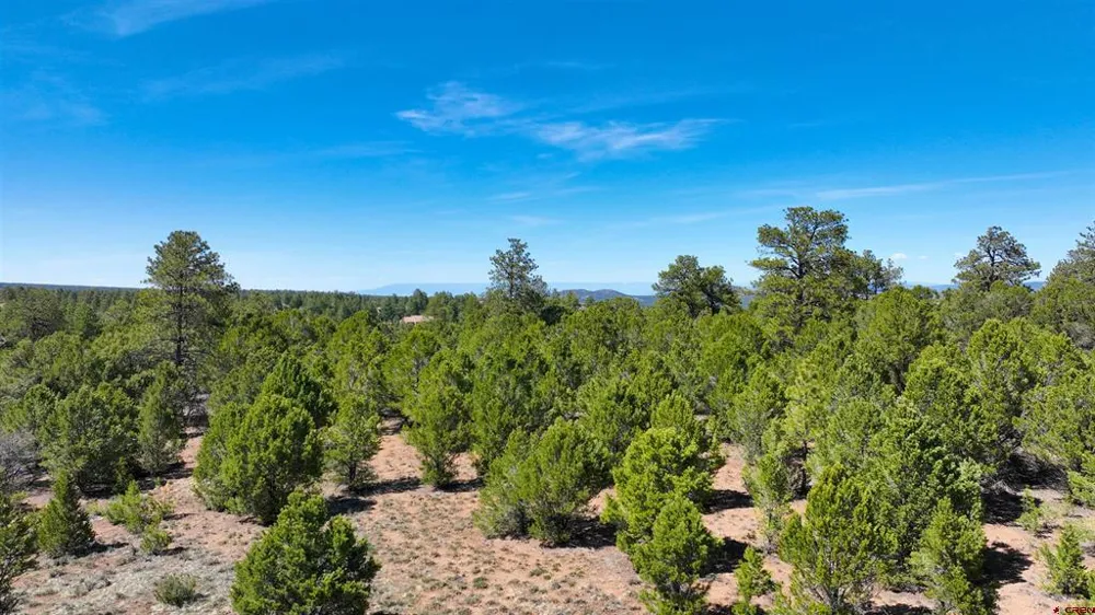 Canyon Drive Ridgway, CO 81432