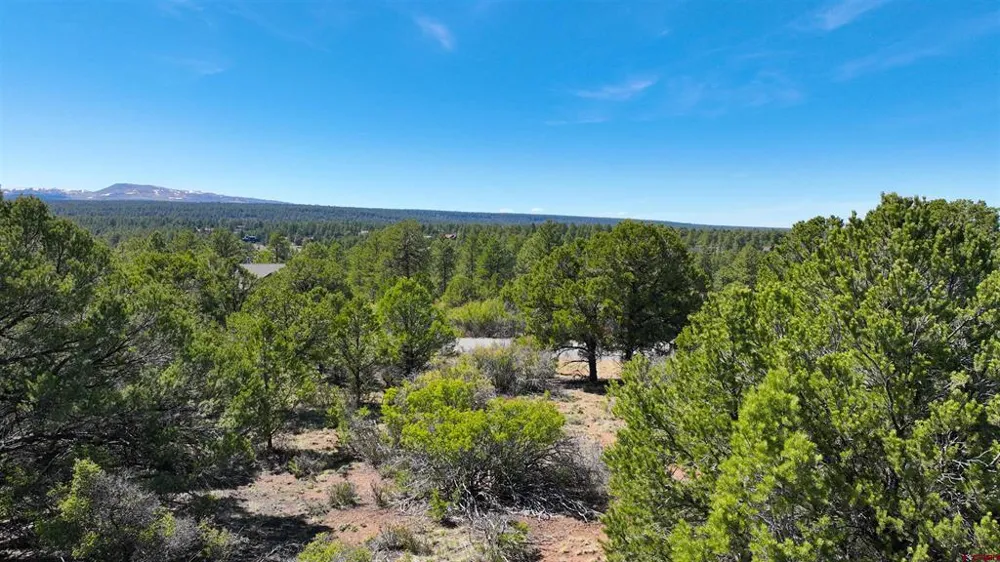 Canyon Drive Ridgway, CO 81432