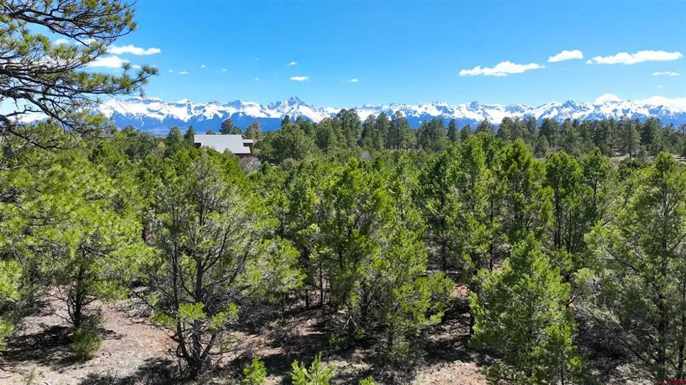Canyon Drive Ridgway, CO 81432