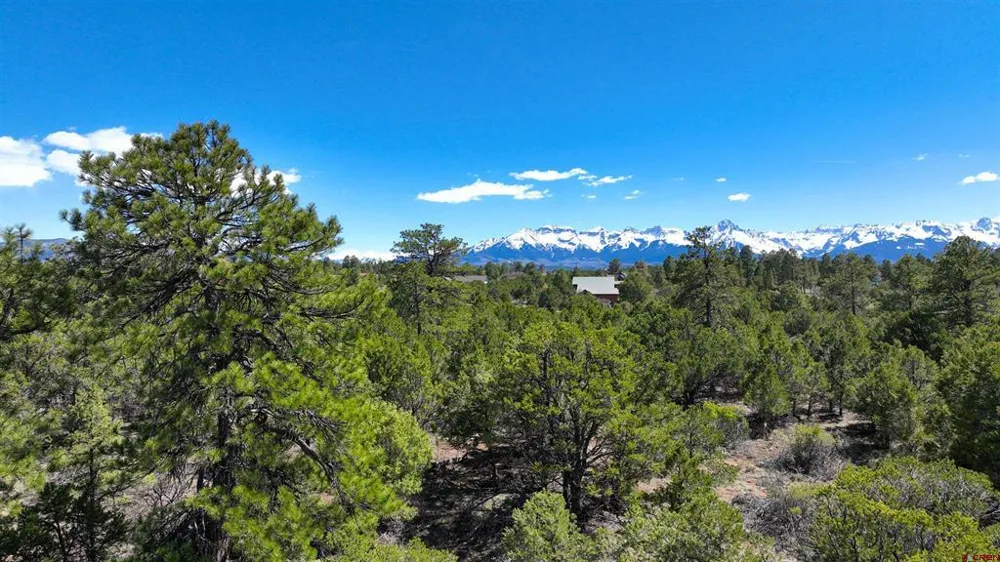 Canyon Drive Ridgway, CO 81432