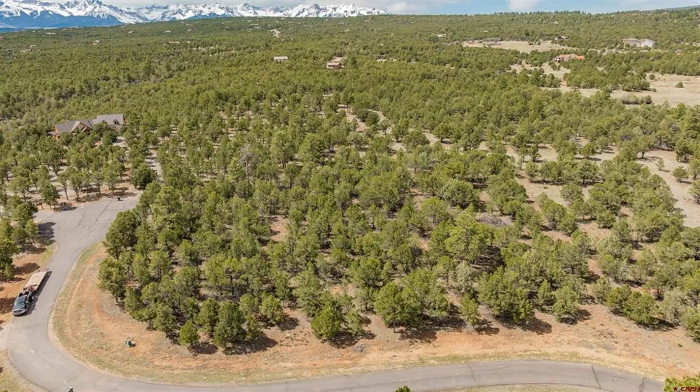 6 Waterview Court Ridgway, CO 81432
