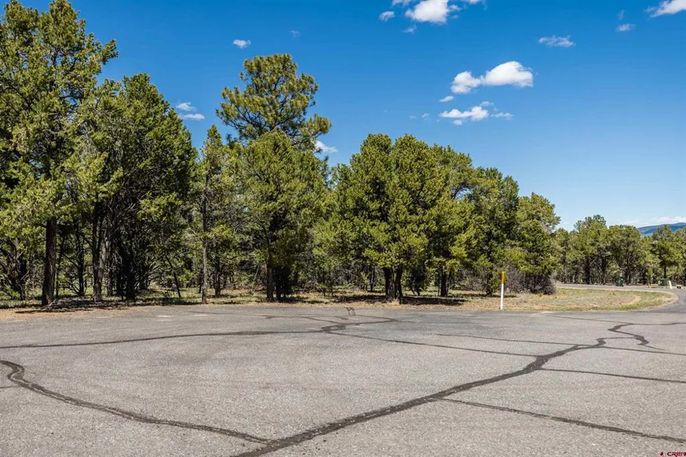 6 Waterview Court Ridgway, CO 81432