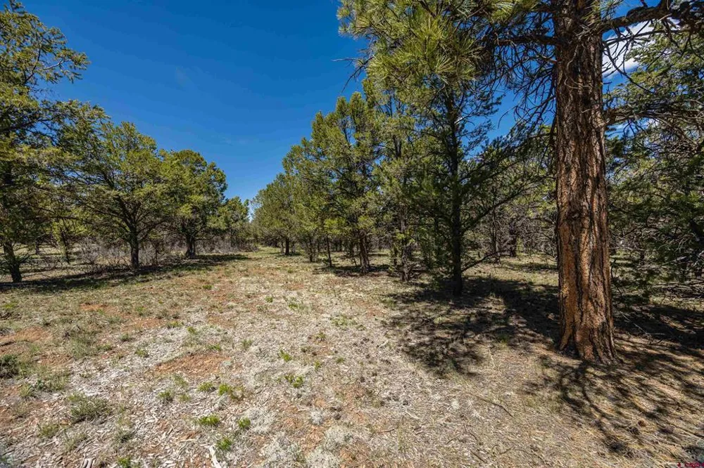 6 Waterview Court Ridgway, CO 81432
