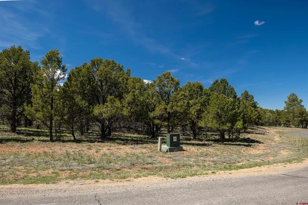 6 Waterview Court Ridgway, CO 81432