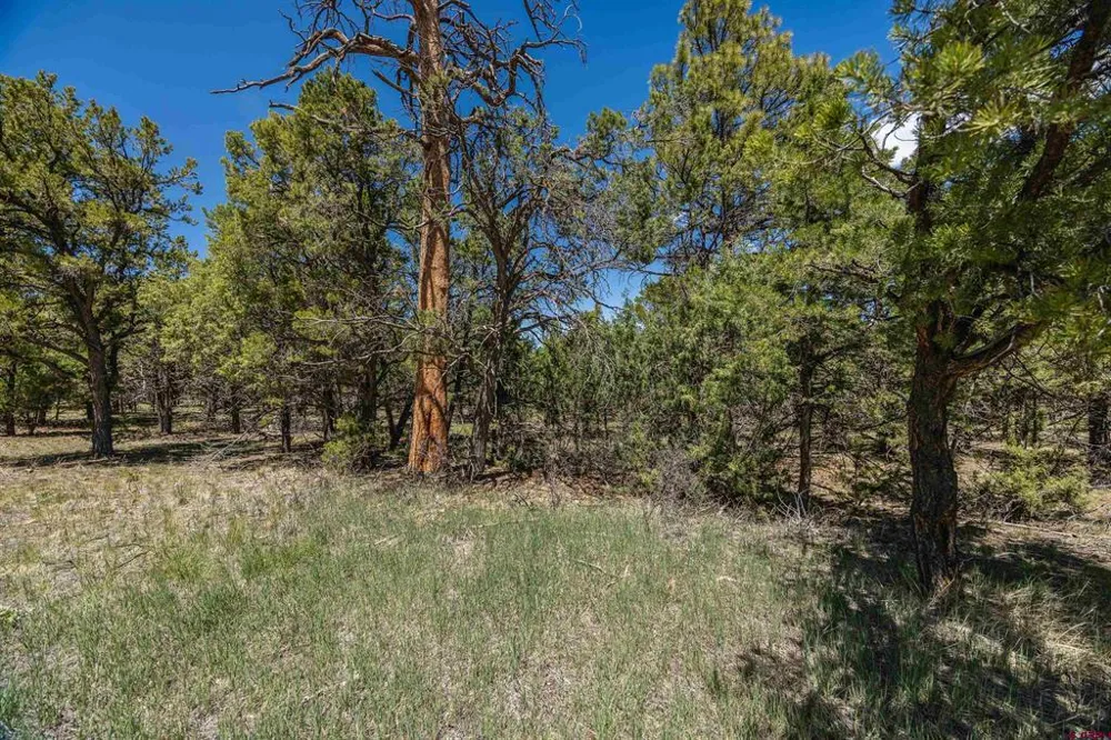 6 Waterview Court Ridgway, CO 81432