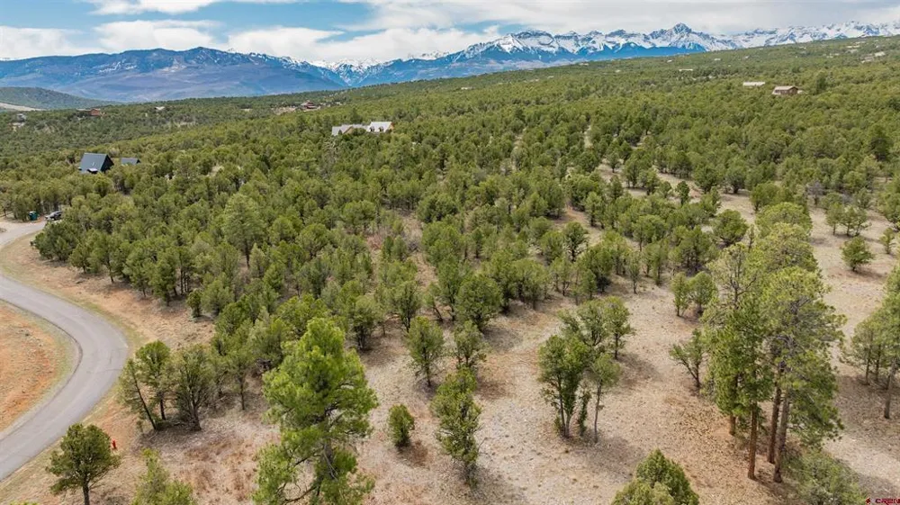 6 Waterview Court Ridgway, CO 81432