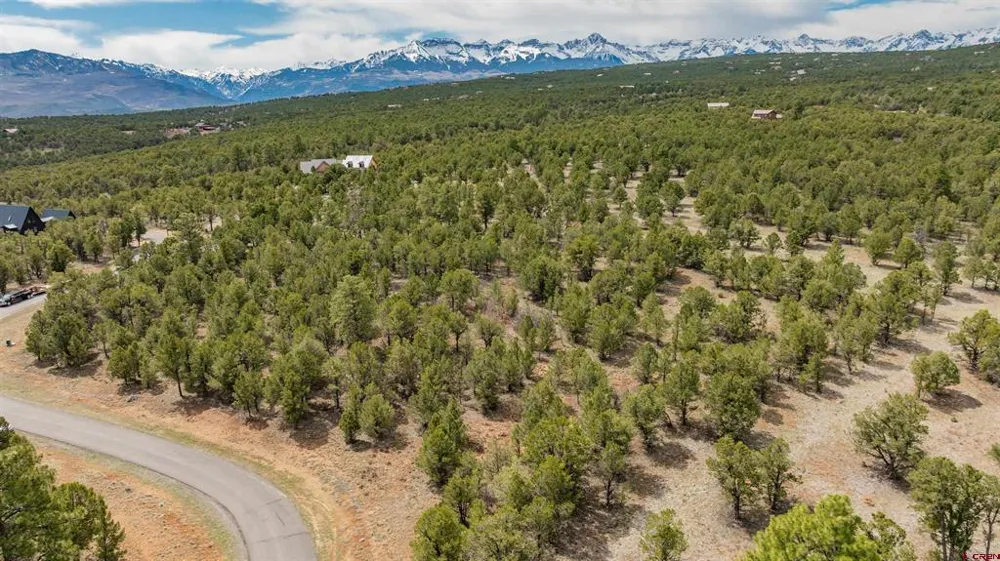 6 Waterview Court Ridgway, CO 81432
