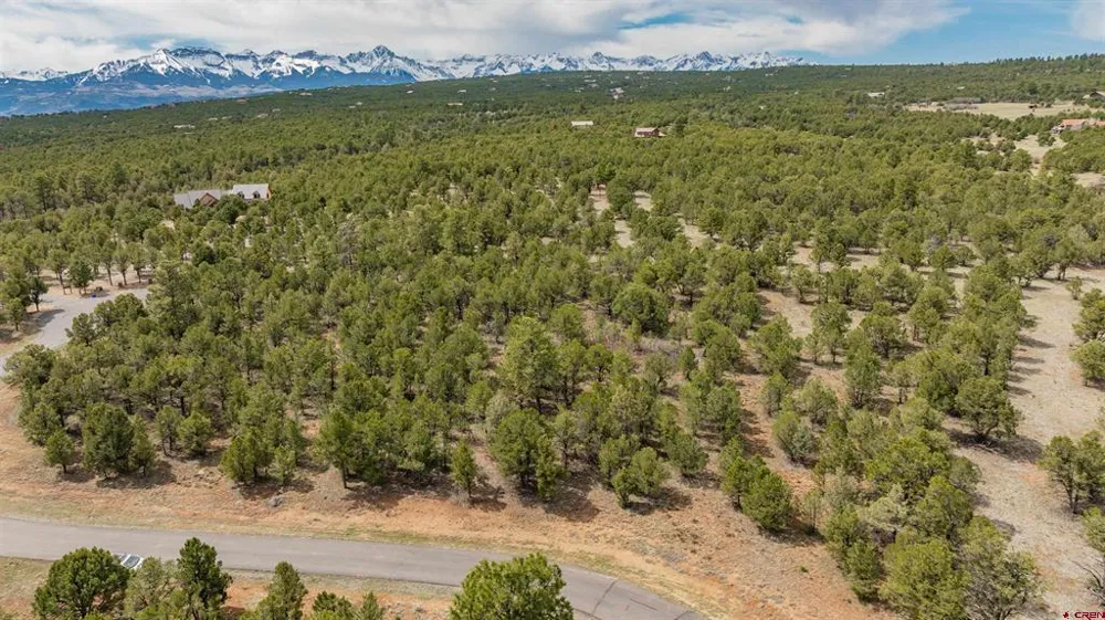 6 Waterview Court Ridgway, CO 81432