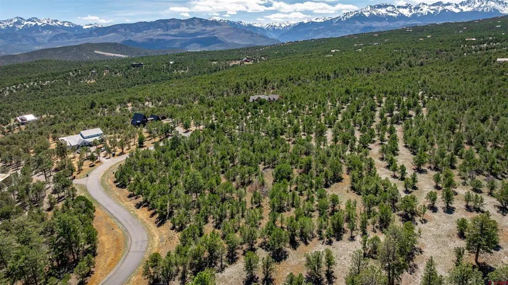 6 Waterview Court Ridgway, CO 81432
