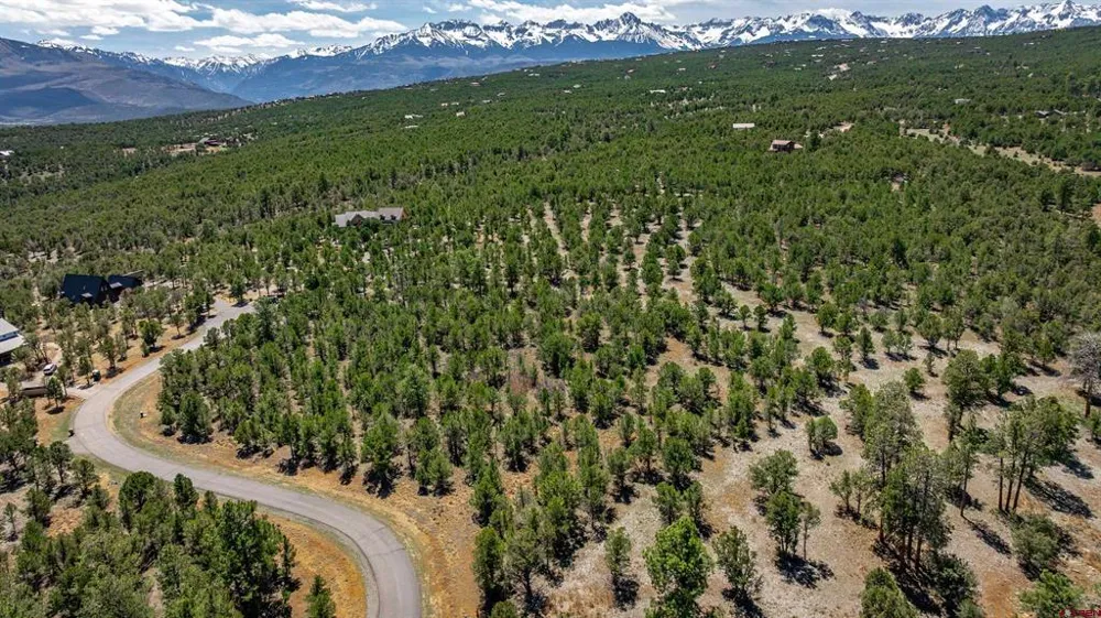 6 Waterview Court Ridgway, CO 81432