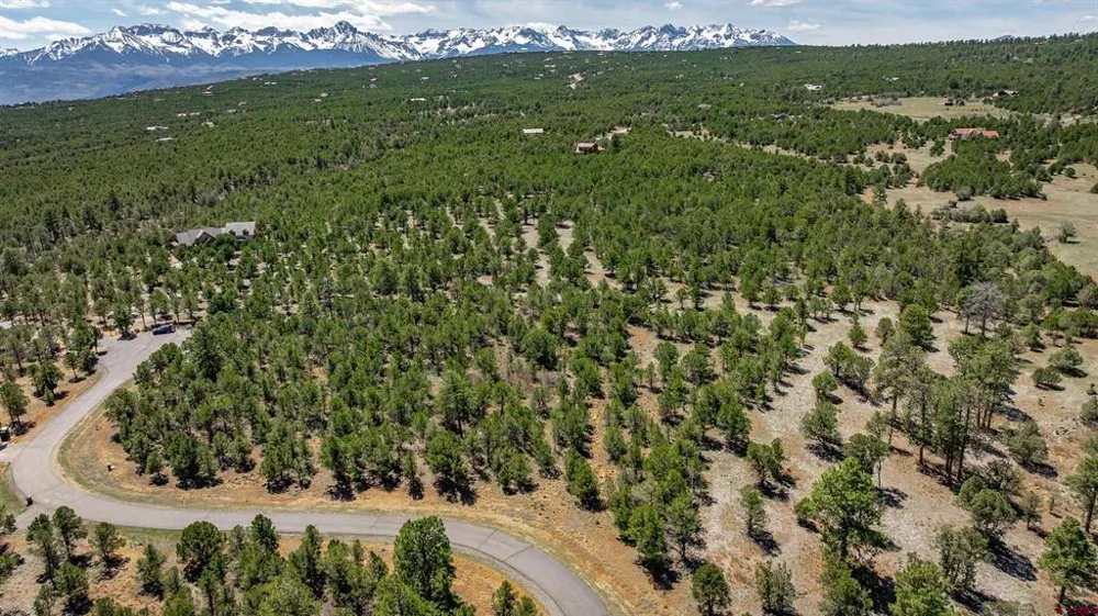 6 Waterview Court Ridgway, CO 81432