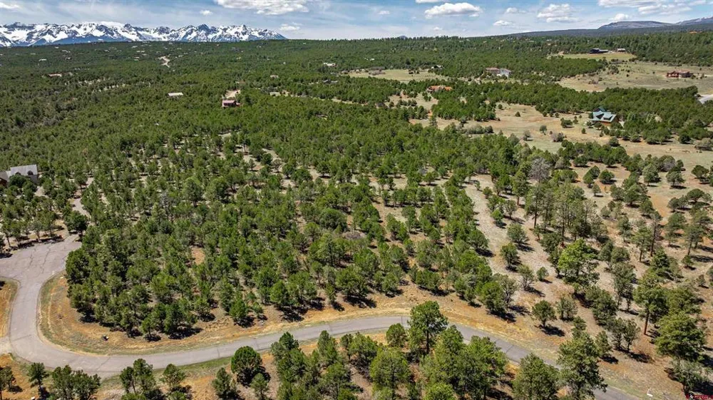 6 Waterview Court Ridgway, CO 81432